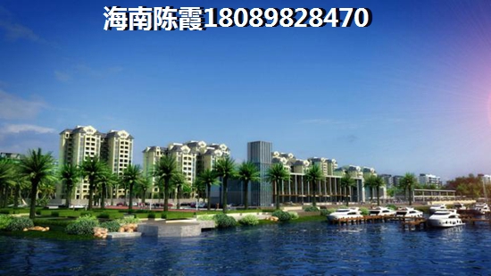 云星洲房价跌了还是上涨了？